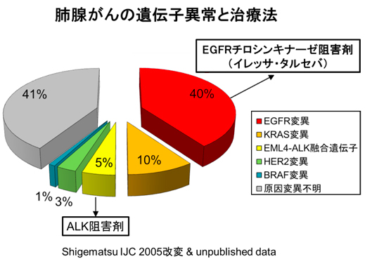 肺腺がんの遺伝子異常と治療法