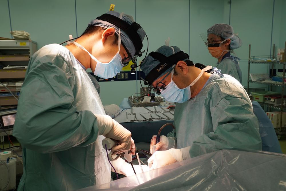 General Thoracic Surgery Photo