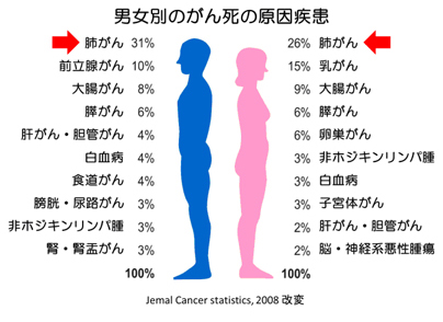 男女別のがん死の原因疾患